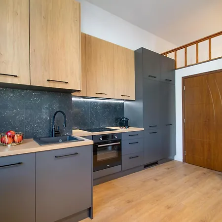 Vintage Antresola Mtp Sala Ziemi Stare Zoo Apartament